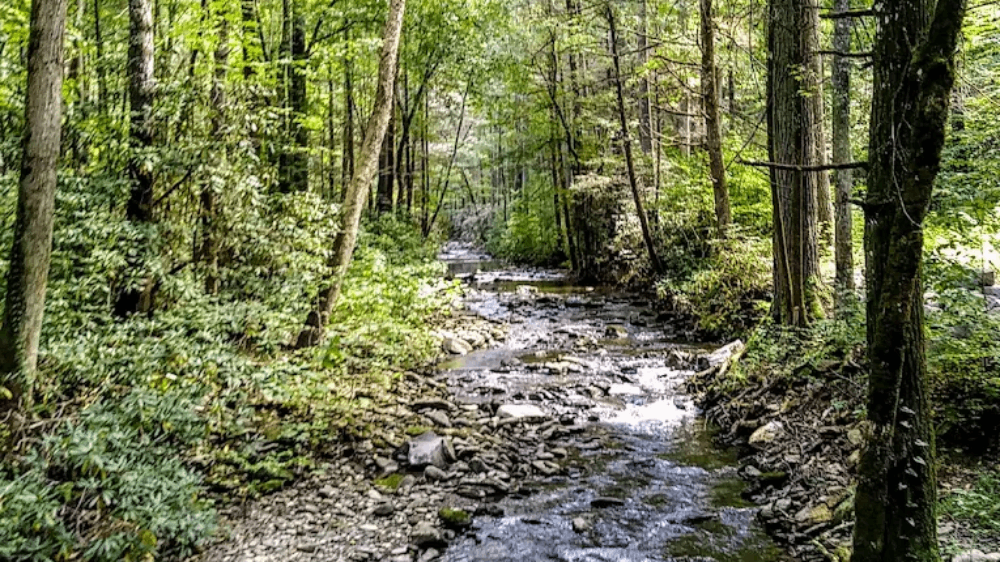 Tennessee's Overlooked Mountain Escape Has Epic Views Without the Crowds