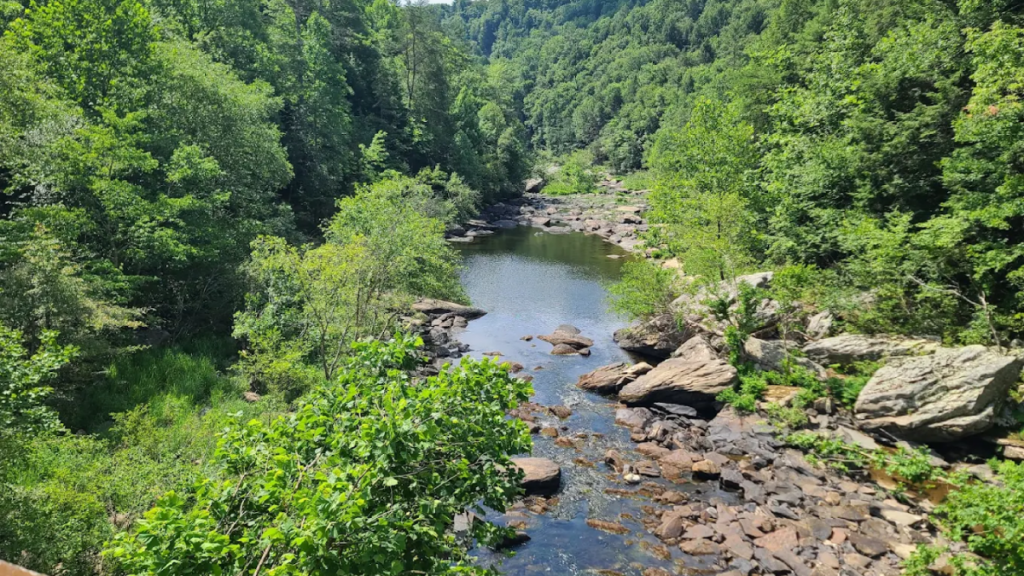 Tennessee's Wild River Escape Has Towering Bluffs, Clear Water, and Miles of Adventure