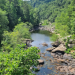 Tennessee's Wild River Escape Has Towering Bluffs, Clear Water, and Miles of Adventure