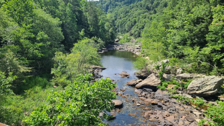 Tennessee’s Wild River Escape Has Towering Bluffs, Clear Water, and Miles of Adventure