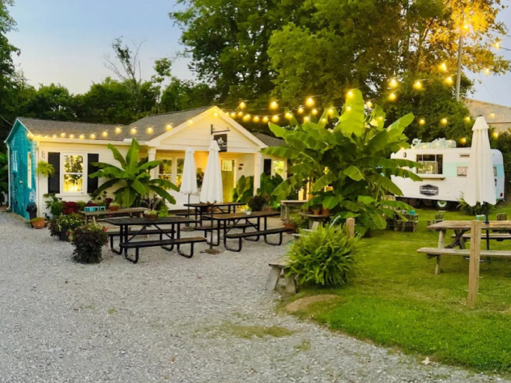This Hidden Tennessee Plant Shop Is Packed With Greenery You Won't See Everywhere