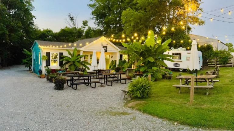 This Hidden Tennessee Plant Shop Is Packed With Greenery You Won’t See Everywhere