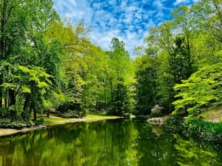 This Private Tennessee Garden Is a Hidden Spring Gem Filled With Flowers and Bumblebees
