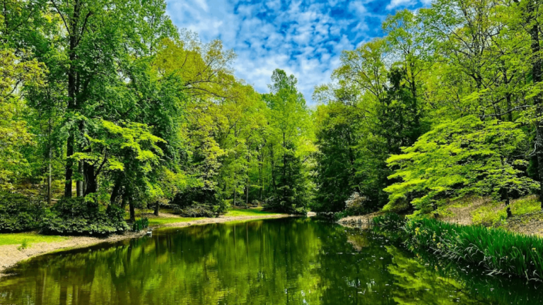 This Private Tennessee Garden Is a Hidden Spring Gem Filled With Flowers and Bumblebees