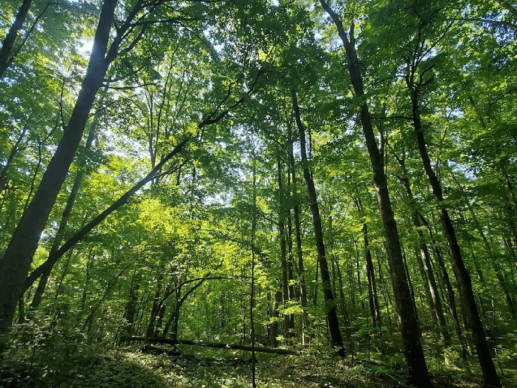 This Tennessee Arboretum Has 2,500 Plant Species and More Than 7 Miles of Scenic Trails