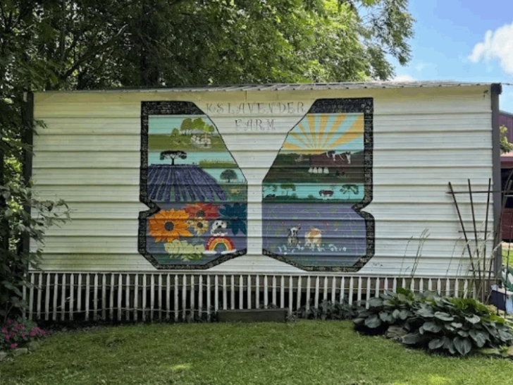 This Tennessee Farm Is Where Lavender Fields and Friendly Farm Animals Steal the Show