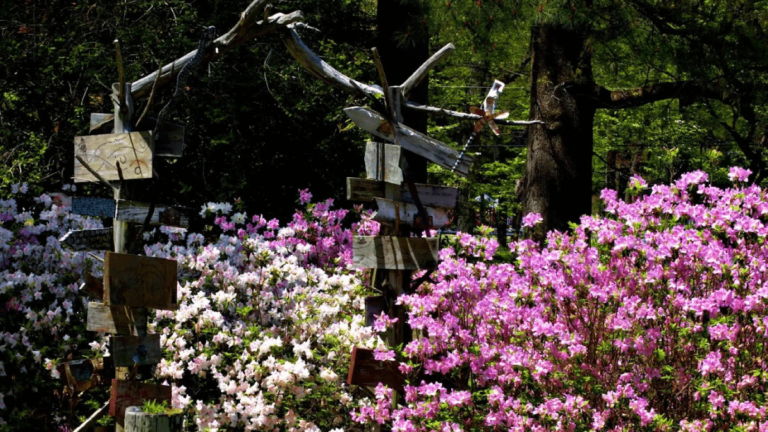This Tennessee Garden Is Bursting With Azaleas—and It’s Pure Spring Perfection