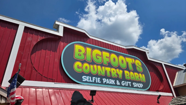 This Tennessee Gift Shop Has the USA’s First Outdoor Selfie Park Out Back