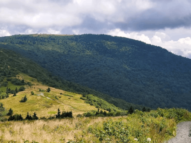 This Tennessee State Park Feels Like a Hidden Paradise You Need to See for Yourself