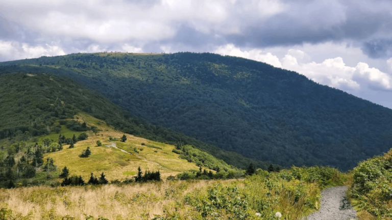 This Tennessee State Park Feels Like a Hidden Paradise You Need to See for Yourself