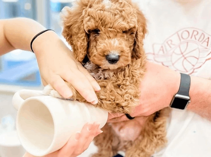 This Tennessee Studio Is the Creative Escape Every Art Lover Needs