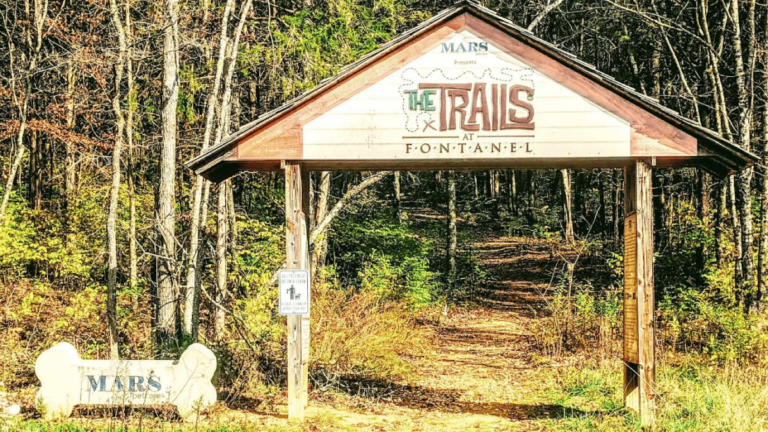 This Tennessee Trail Turns Every Walk Into a Search for Gnomes and Fairy Houses