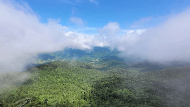 This Tennessee Trailhead Might Just Have the Best Views in the Appalachian Mountains