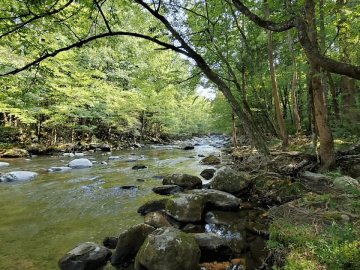 Tucked Inside Tennessee's Smokies Is a Shady Picnic Retreat With Rapids and Swimming Spots