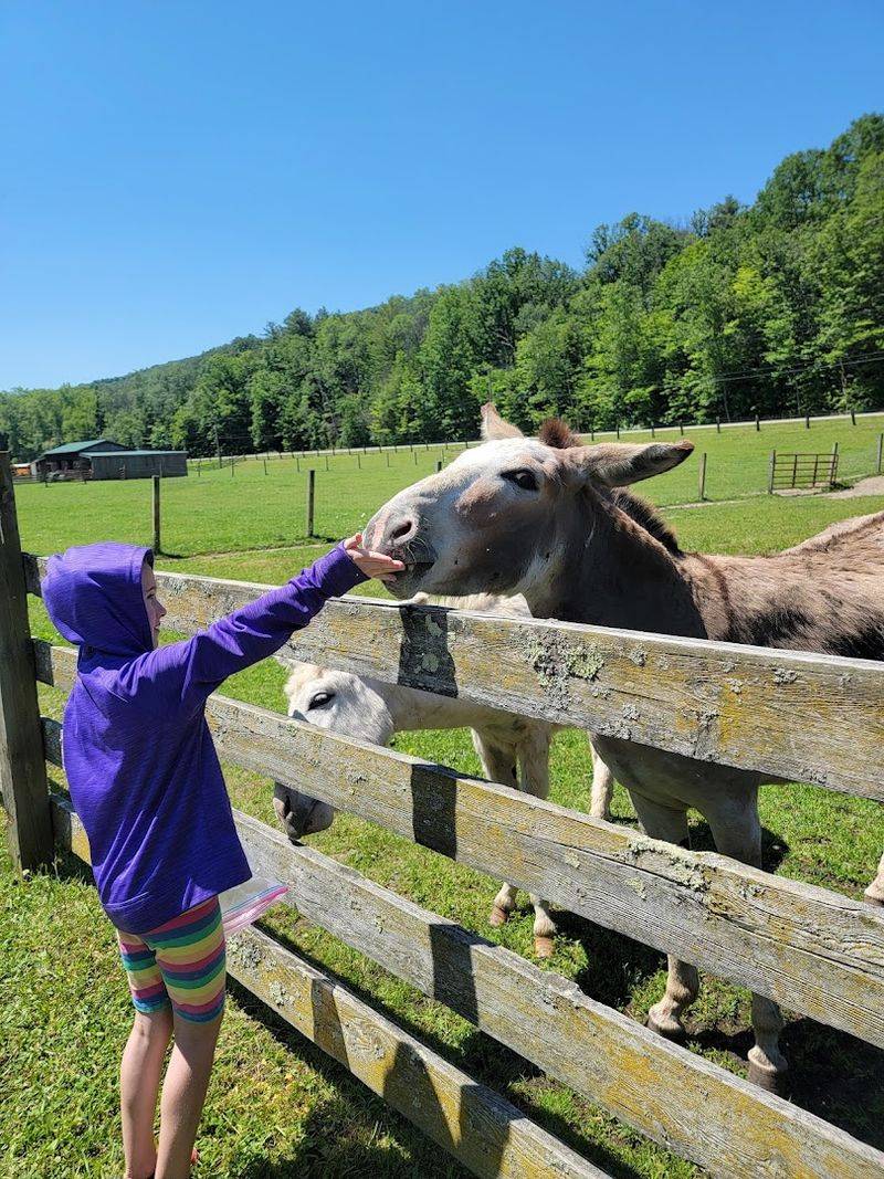 Hand-Feeding Along the Creek