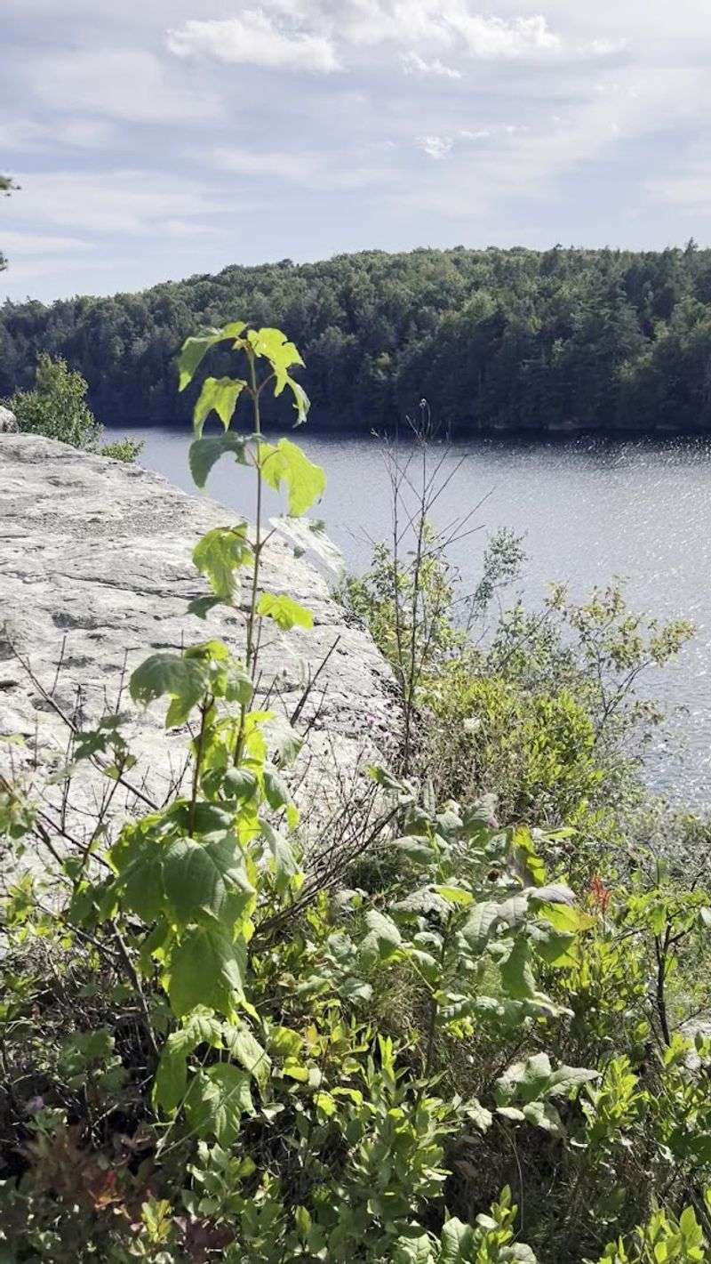 Shoreline Views That Change Constantly