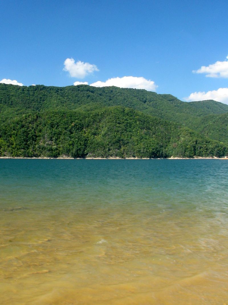 Watauga Lake — Butler