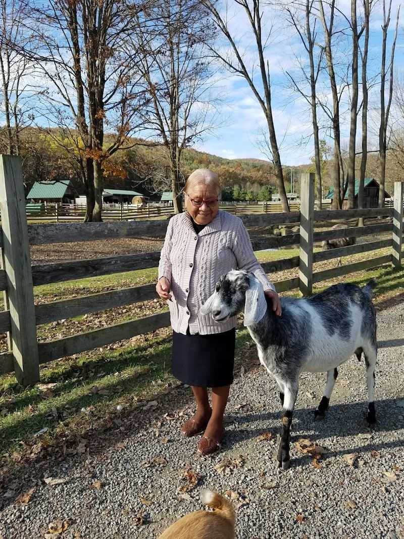 Smart Tips for a Smooth Visit