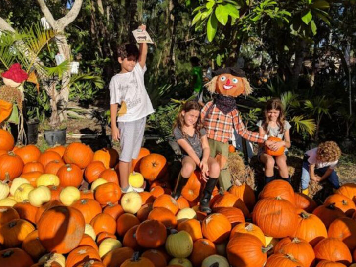 A Spot in Miami, Florida Where Kids Can Pedal Boats on the Lake, Pet Goats, and Get Their Boots Messy for a Change