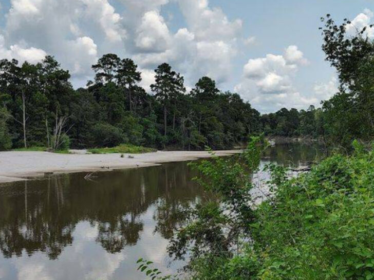 A Texas Canoe Trail That Winds Through a Stunning Ancient Forest