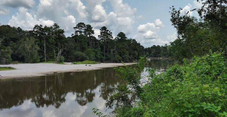 A Texas Canoe Trail That Winds Through a Stunning Ancient Forest