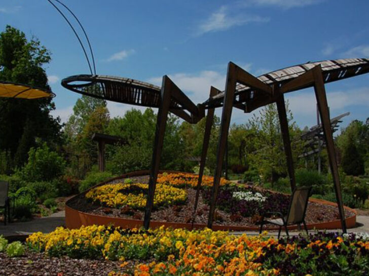 Arkansas Is Full of Adventure&mdash;Start With These 10 Unforgettable Day Trips