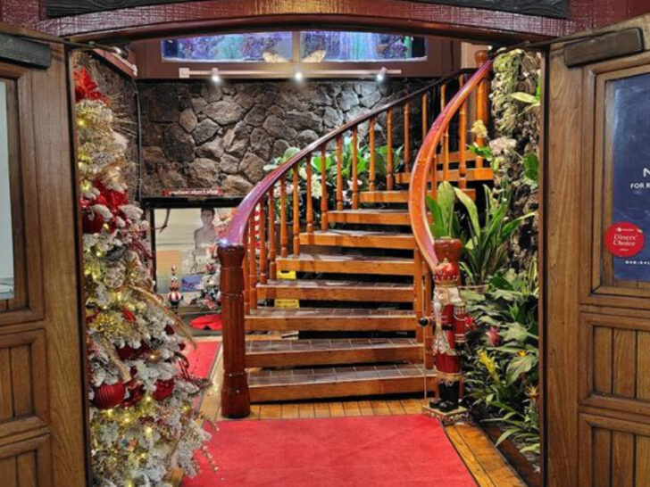 At This No-Frills Restaurant in Hawaii, the Oysters Are So Good You&rsquo;ll Crave Them All Week