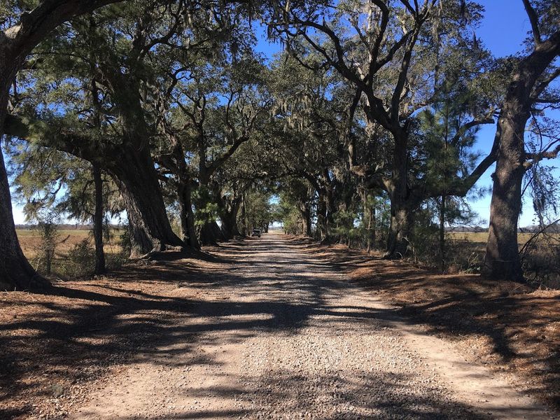 St. Martinville, Louisiana