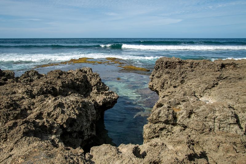 Tide Pools, Dunes, and The Textures of the Shoreline