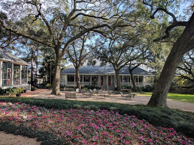 Grand Oaks and Mossy Avenues