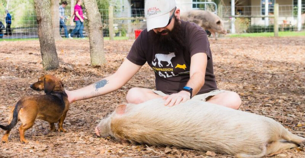 Cuddle Rescued Pigs and Cows at This Secluded North Florida Farm Sanctuary That Also Offers Glamping