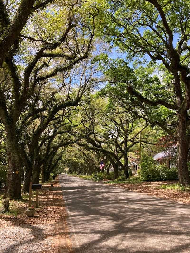 Oak Alley (Magnolia Springs)