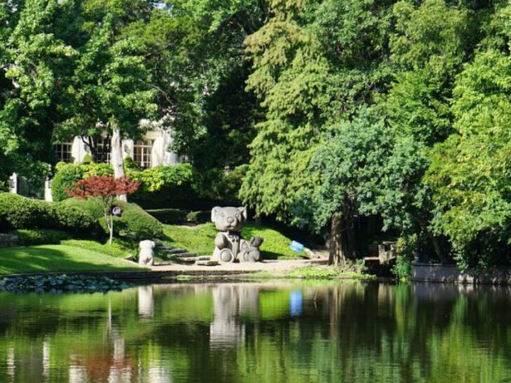 Dallas&rsquo; Secret Wonderland: Giant Teddy Bears Take Over Lakeside Park