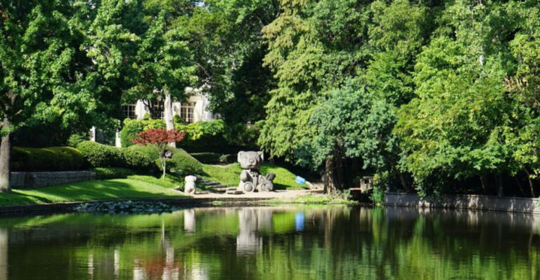 Dallas’ Secret Wonderland: Giant Teddy Bears Take Over Lakeside Park