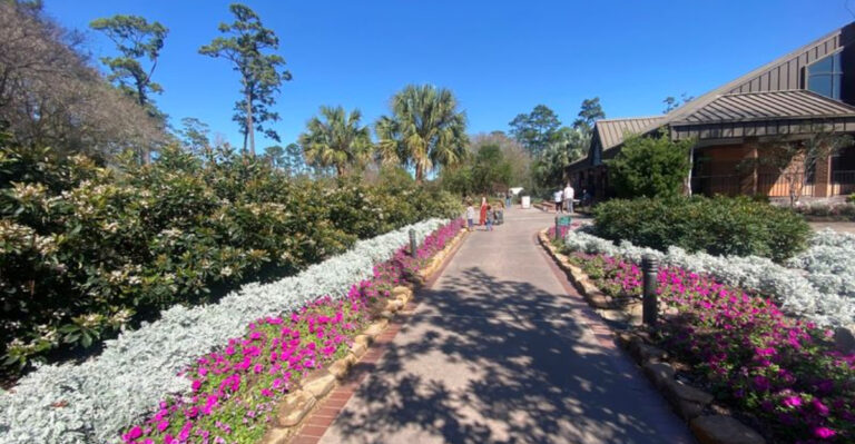 Discover a Texas Botanical Garden That’s Free Year-Round