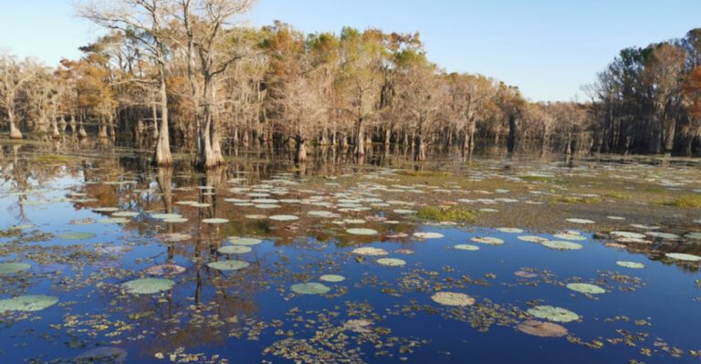 Don’t Let the Size Fool You—These 8 Small Texas Towns Are Full of Surprises