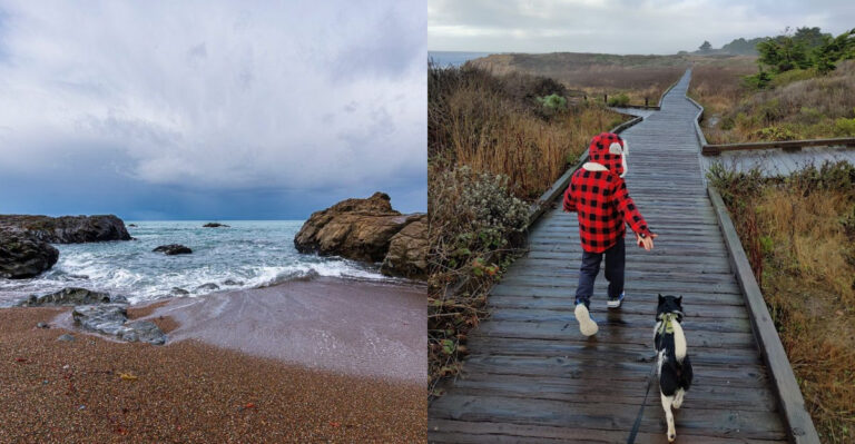 Every Californian Should Walk This Breathtaking Boardwalk at Least Once