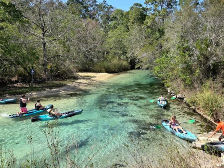 Florida&rsquo;s Wild Beauty Shines Through These 7 Unreal Natural Wonders