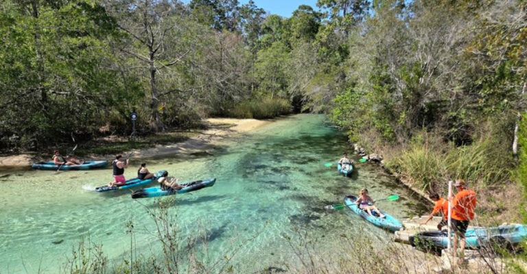 Florida’s Wild Beauty Shines Through These 7 Unreal Natural Wonders