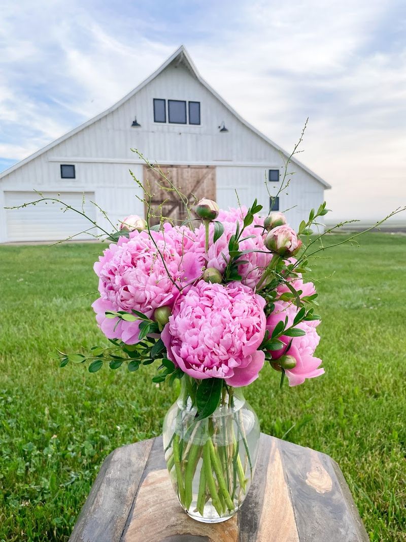 Graceful Acres Flower Farm (Monticello)