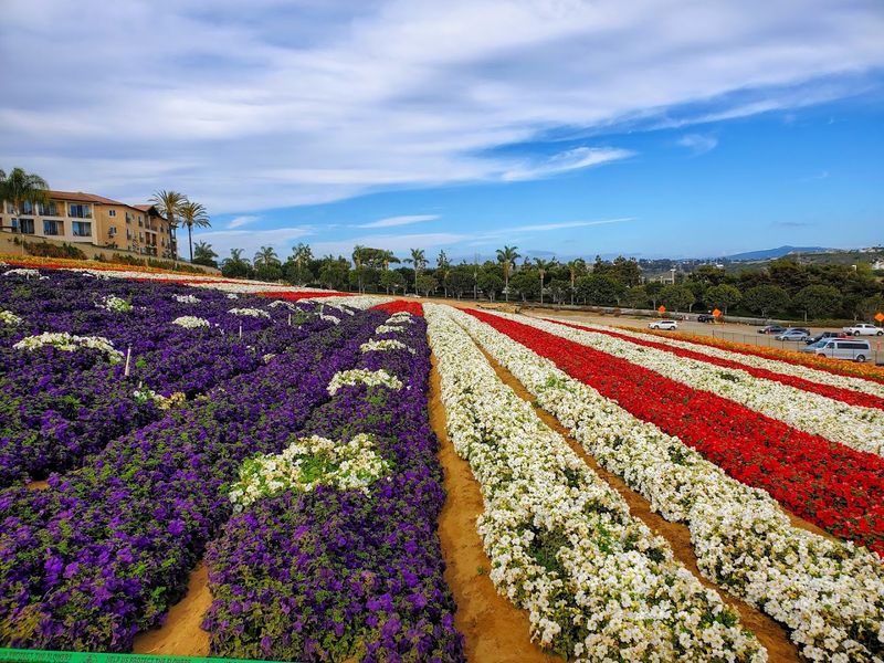 Make It a Spring Day in Carlsbad You’ll Actually Remember