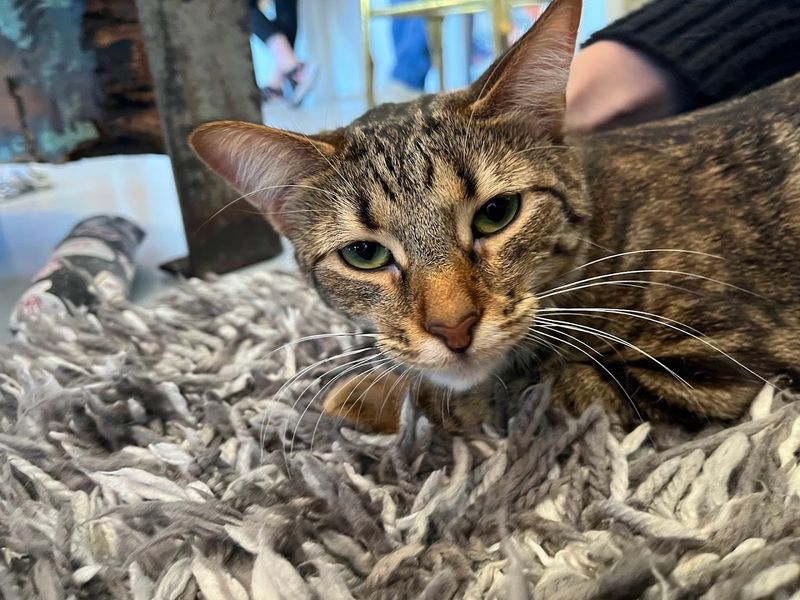 Rules Of Respect That Make Visits Better