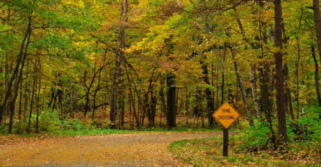 Hidden Across the State, These 10 Parks Are Minnesota’s Best-Kept Secrets
