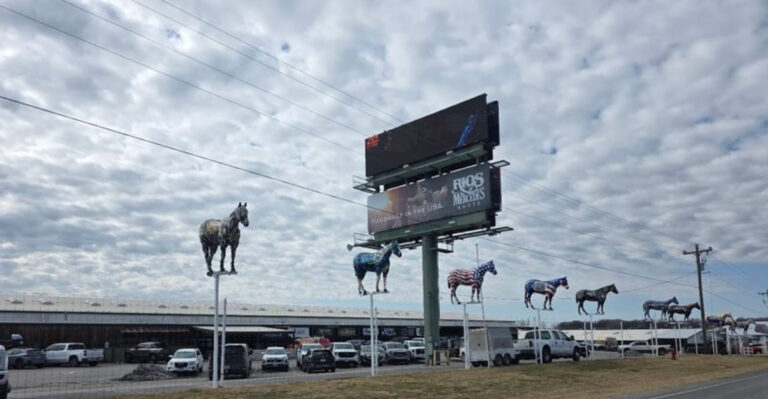 Horse Lovers Are Obsessed With This 100,000-Square-Foot Texas Store