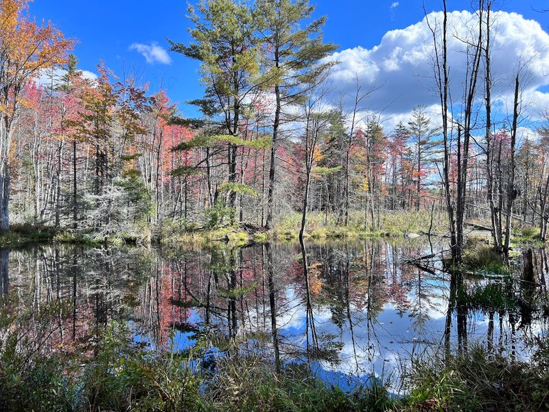 Mount Watatic Trail (Ashburnham)
