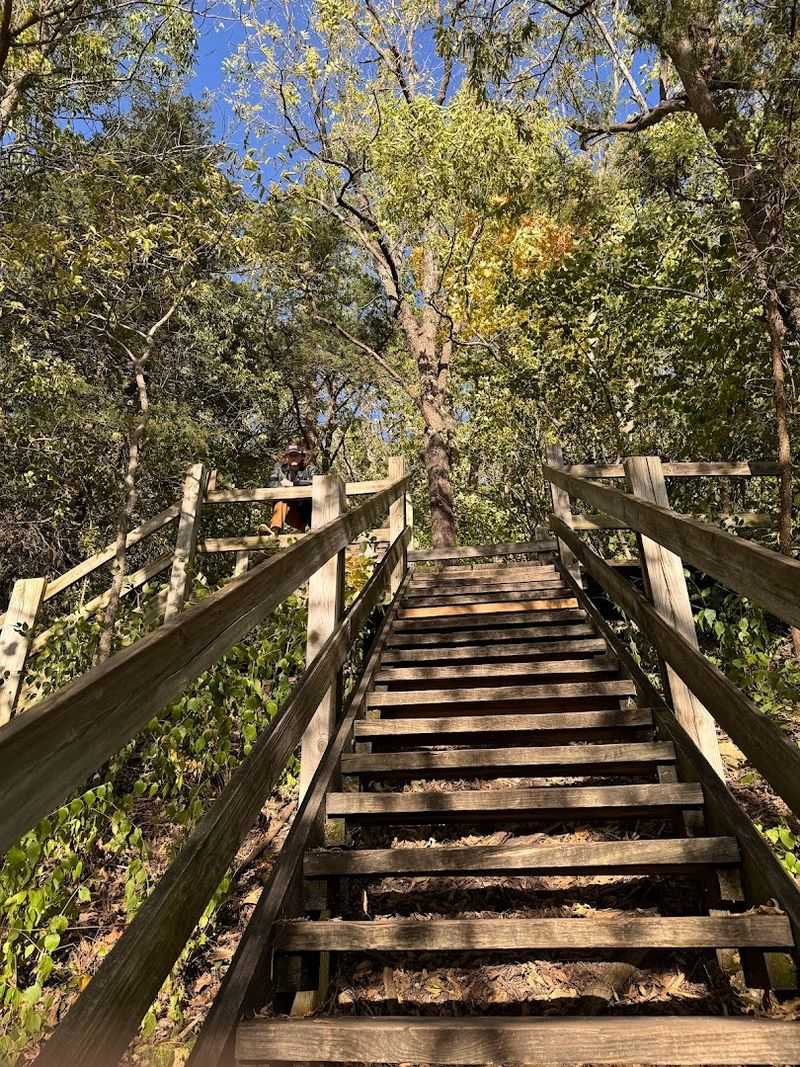Stairs, Trails, And Little Adventures