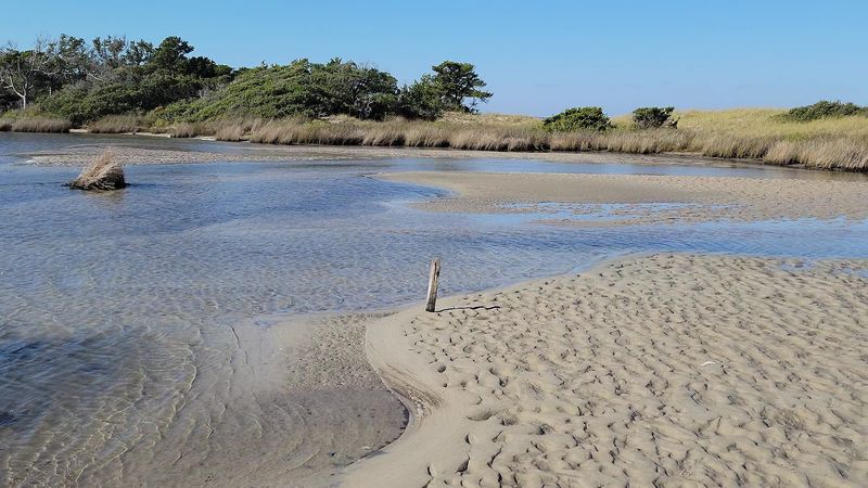 Portsmouth Island (Cape Lookout National Seashore)
