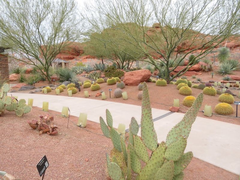 Red Hills Desert Garden and Pioneer Park