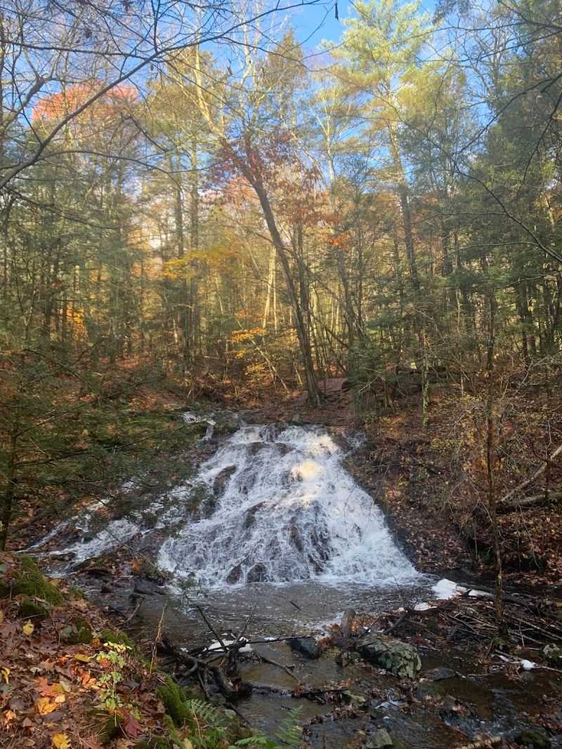 Bear Hole Reservoir Loop (West Springfield)