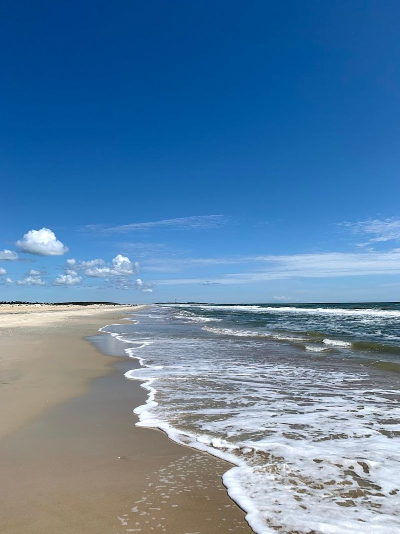 Surf Fishing Without Overthinking It